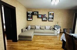 Apartament 3 camere, 2 balcoane, proaspat renovat, 63 mp utili, zona Somesului 