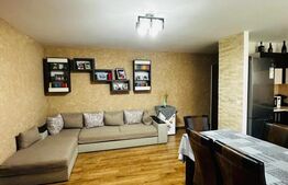 Apartament 3 camere, 2 balcoane, proaspat renovat, 63 mp utili, zona Somesului 