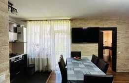 Apartament 3 camere, 2 balcoane, proaspat renovat, 63 mp utili, zona Somesului 