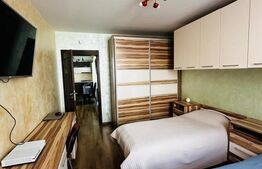 Apartament 3 camere, 2 balcoane, proaspat renovat, 63 mp utili, zona Somesului 