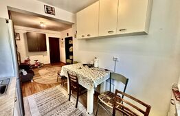 Apartament 1 dormitor, 48mp, zona Stejarului