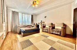 Apartament 1 dormitor, 48mp, zona Stejarului