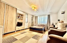 Apartament 1 dormitor, 48mp, zona Stejarului