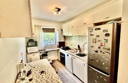 Apartament 1 dormitor, 48mp, zona Stejarului