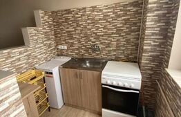 Garsoniera renovata, 21 mp, etaj intermediar, zona Dambu Rotund