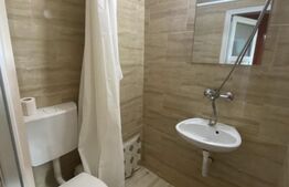 Garsoniera renovata, 21 mp, etaj intermediar, zona Dambu Rotund