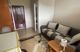 Garsoniera renovata, 21 mp, etaj intermediar, zona Dambu Rotund