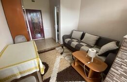 Garsoniera renovata, 21 mp, etaj intermediar, zona Dambu Rotund