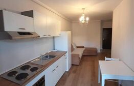 Apartament  2 camere,  balcon, parcare subterana,  Corneliu Coposu 