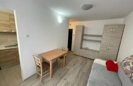 Garsonieră, 30 mp, zona Big