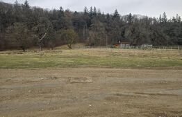 De vanzare teren in Cristian, 1800 Mp