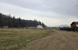 De vanzare teren in Cristian, 1800 Mp