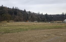 De vanzare teren in Cristian, 1800 Mp