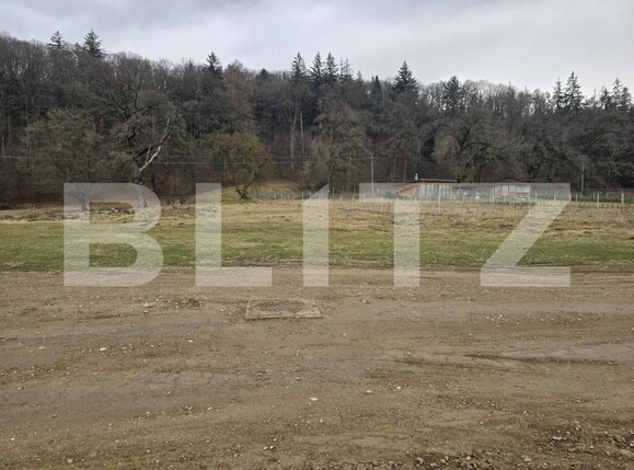 Teren de vânzare Cristian - 149169TV | BLITZ Brașov | Poza2
