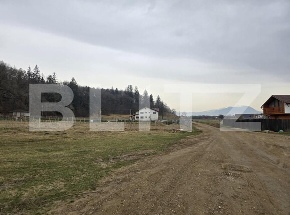 Teren de vânzare Cristian - 149169TV | BLITZ Brașov | Poza4