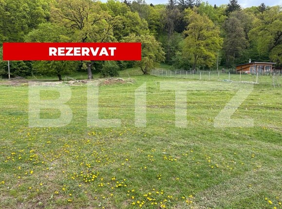 Teren de vânzare Cristian - 149169TV | BLITZ Brașov | Poza1