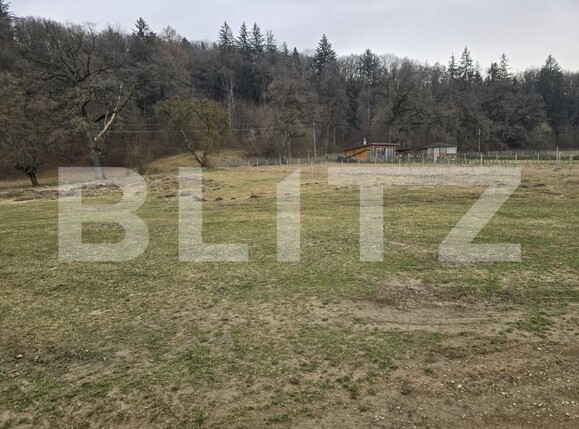 Teren de vânzare Cristian - 149169TV | BLITZ Brașov | Poza3