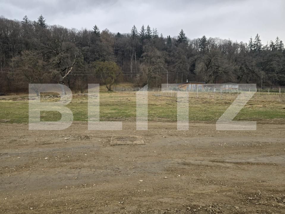 Teren de vânzare Cristian - 149169TV | BLITZ Brașov | Poza2