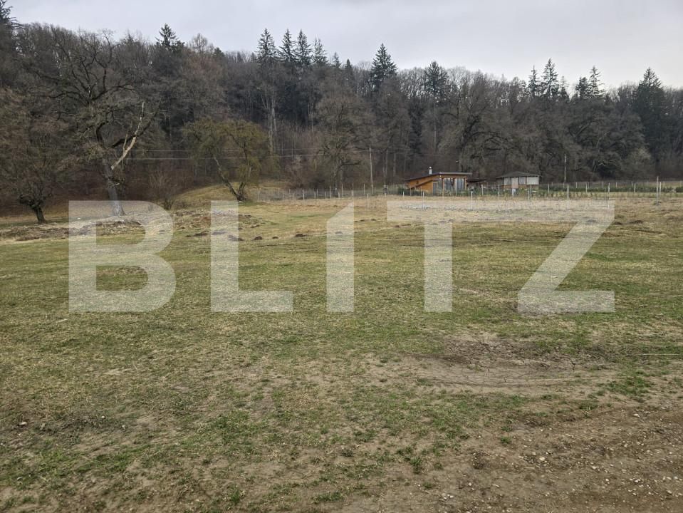 Teren de vânzare Cristian - 149169TV | BLITZ Brașov | Poza3