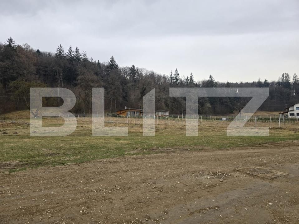 Teren de vânzare Cristian - 149169TV | BLITZ Brașov | Poza5