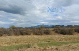 Teren de vanzare in Rasnov zona Glejerie, 10.000 mp