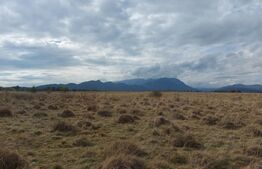 Teren de vanzare in Rasnov zona Glejerie, 10.000 mp