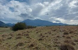 Teren de vanzare in Rasnov zona Glejerie, 10.000 mp