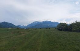 Teren de vânzare Bran - 162232TV | BLITZ Brașov | Poza4