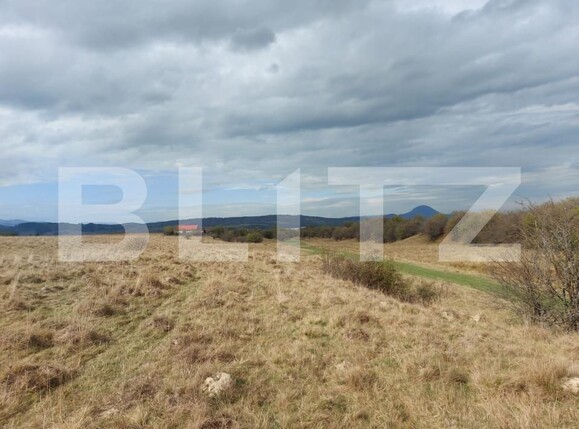 Teren de vânzare Sud-Vest - 149250TV | BLITZ Brașov | Poza4