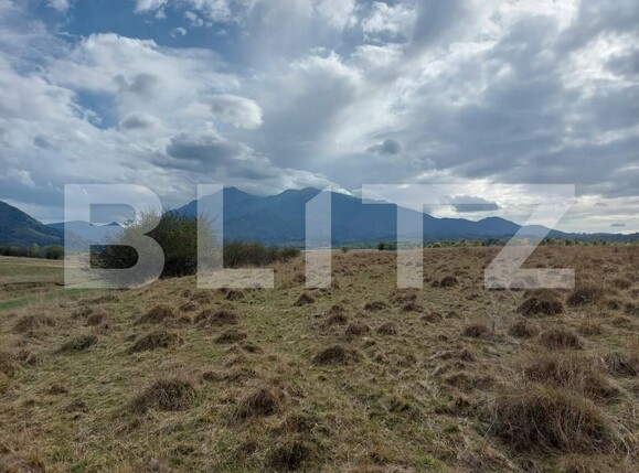 Teren de vânzare Sud-Vest - 149250TV | BLITZ Brașov | Poza5