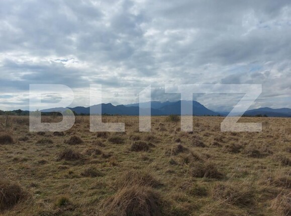 Teren de vânzare Sud-Vest - 149250TV | BLITZ Brașov | Poza8