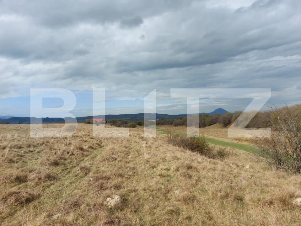 Teren de vânzare Sud-Vest - 149250TV | BLITZ Brașov | Poza4