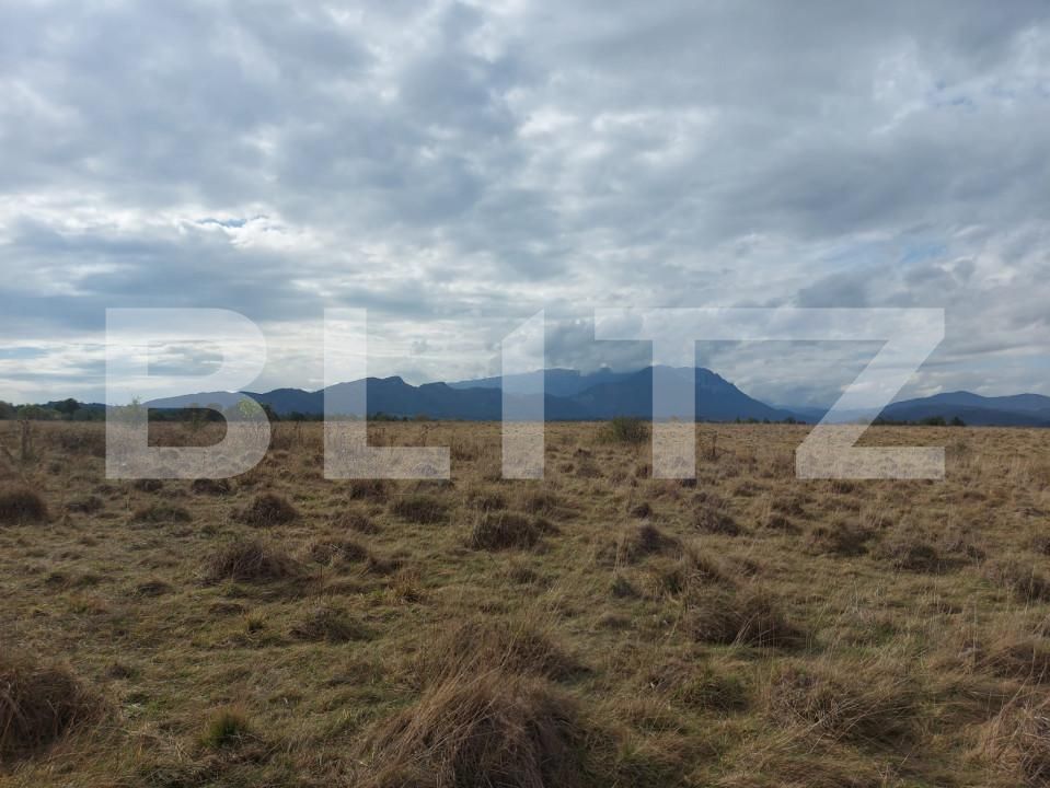 Teren de vânzare Sud-Vest - 149250TV | BLITZ Brașov | Poza3