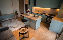 Apartament 3 cam, 60 mp utili, 27 mp terasa, Lux, parcare, zona Eroilor