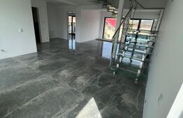 Casa 5 camere, 280 mp, teren 500 mp, in Suceagu 