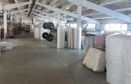 Hala 1800 mp pentru depozit sau productie mica 