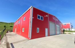 Hala cu acces facil la DN1 , finisata, pentru depozitare sau service auto. 