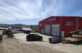 Hala cu acces facil la DN1 , finisata, pentru depozitare sau service auto. 