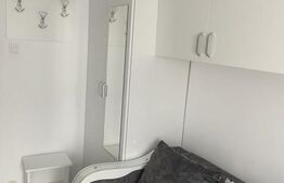 Garsoniera/camera camera in zona Gemenii