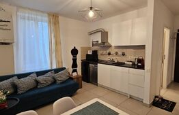 Corp de casa  41 mp, teren 500 mp, Centrul istoric