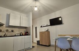 Corp de casa  41 mp, teren 500 mp, Centrul istoric