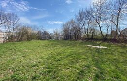 Teren intravilan 980 mp, zona S_IS (institutii si servicii publice), Manastur!