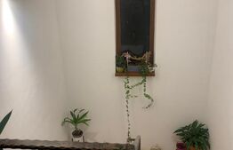 Duplex cu 5 camere, 300 mp de teren, zona Terra