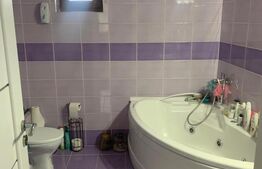 Duplex cu 5 camere, 300 mp de teren, zona Terra