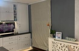 Duplex cu 5 camere, 300 mp de teren, zona Terra