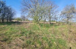 Teren partial intravilan, 4000 mp, Valea Chintaului