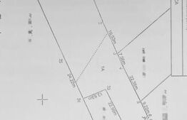 Teren partial intravilan, 4000 mp, Valea Chintaului