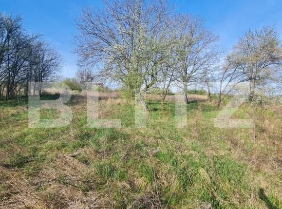 Teren de vânzare Iris - 149487TV | BLITZ Cluj-Napoca | Poza1