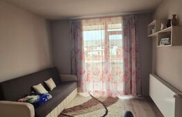 Duplex cu 4 camere, mobilat si utilat, 210 mp de teren, zona Catanelor