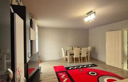 Duplex cu 4 camere, mobilat si utilat, 210 mp de teren, zona Catanelor